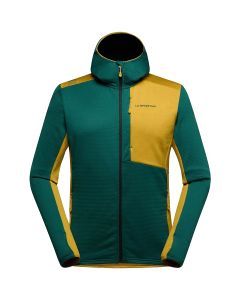 Jungle / Savana (GREEN)