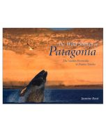 The Wild Shores Of Patagonia