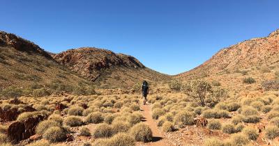 Larapinta Trail: What to Bring and What to Expect