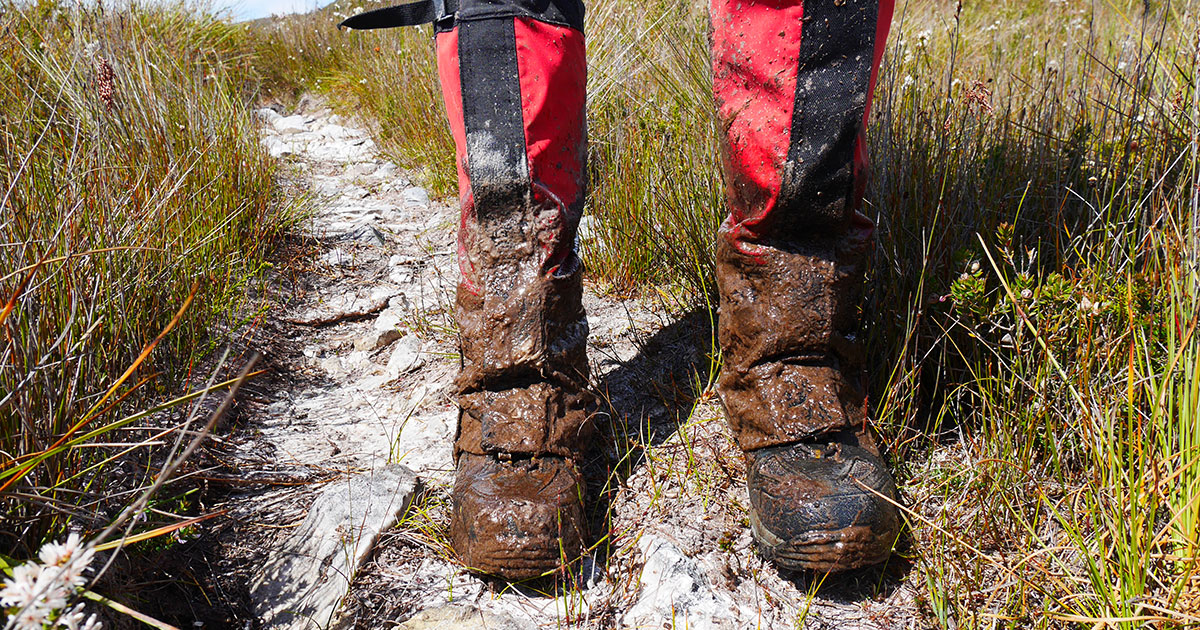 Bushwalking Boots