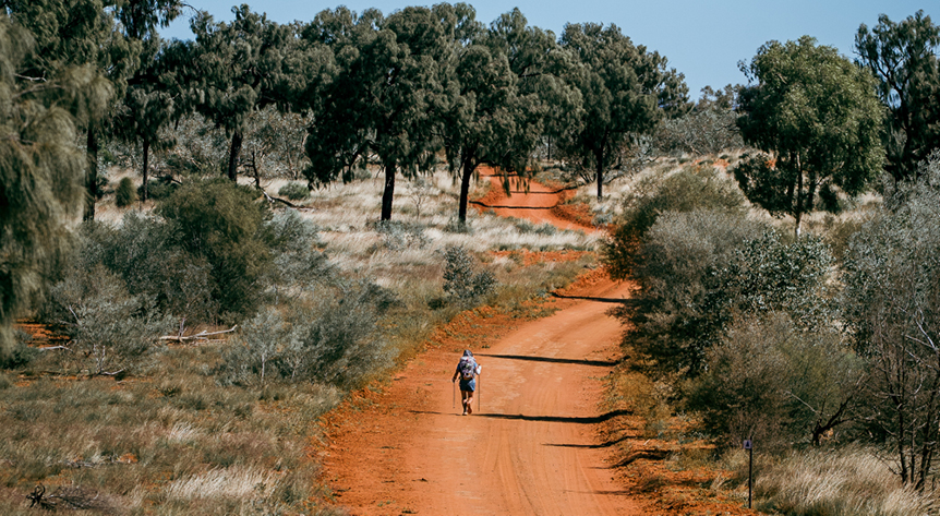 Bogong Events