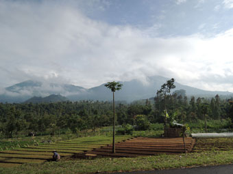 Indonesian Scenery